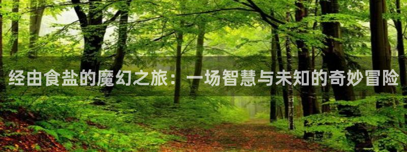 威九国际78mb官网版：经由食盐的魔幻之旅：一场智慧与未知的